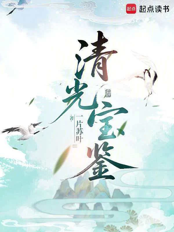 清光宝鉴 book cover