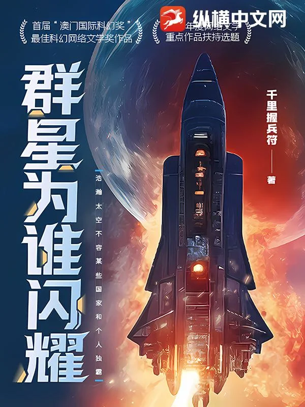 群星为谁闪耀 book cover