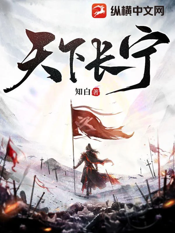 天下长宁 book cover