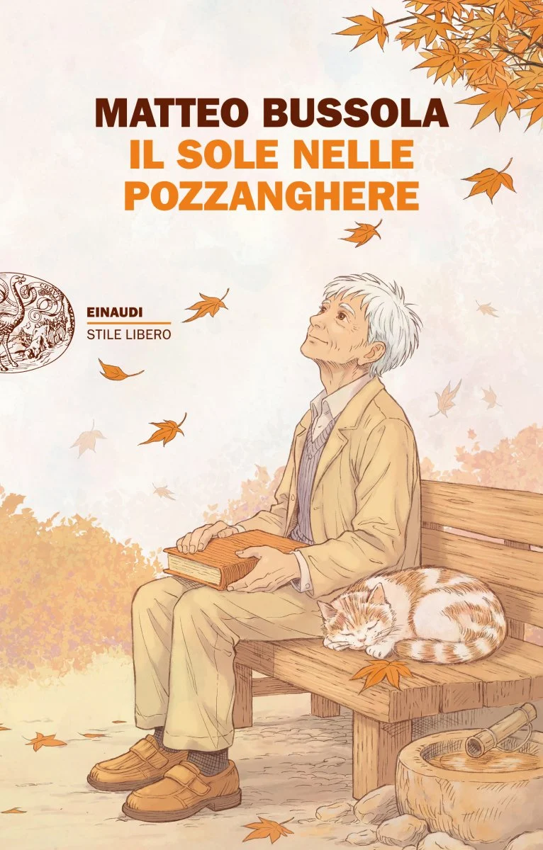 Il sole nelle pozzanghere book cover