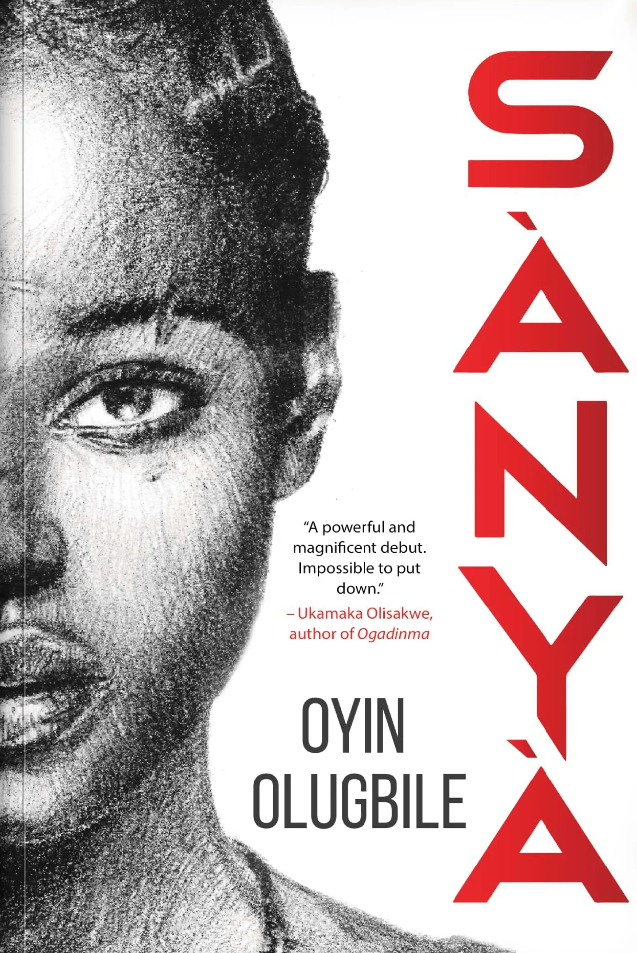 Sànyà book cover